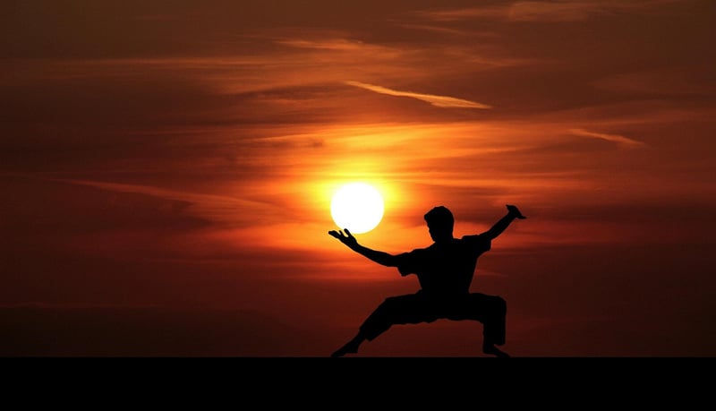 Sun Style Tai Chi Postures